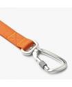Leashes