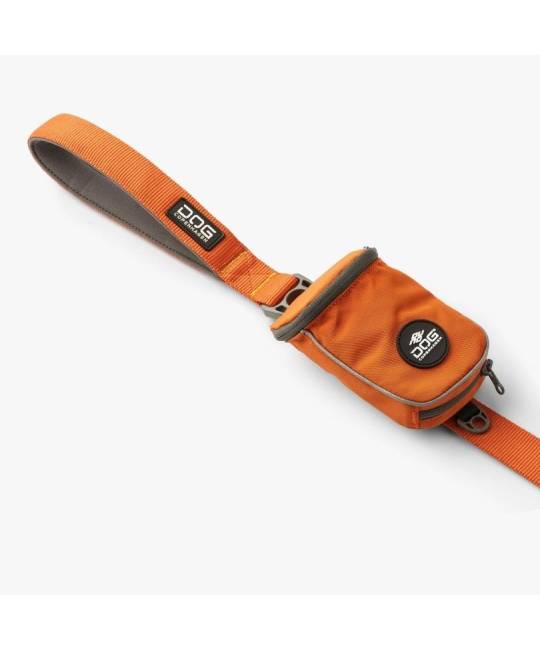 Leashes