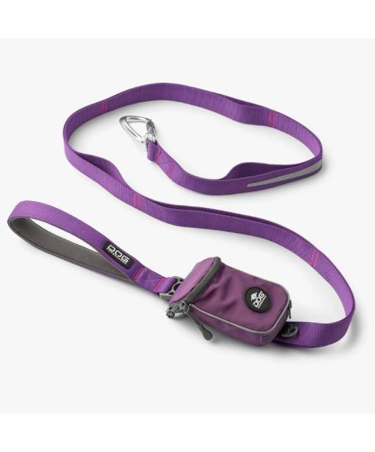 Leashes