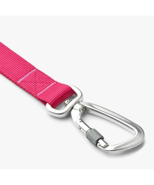 Leashes
