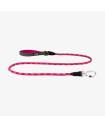 Leashes