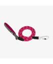Leashes
