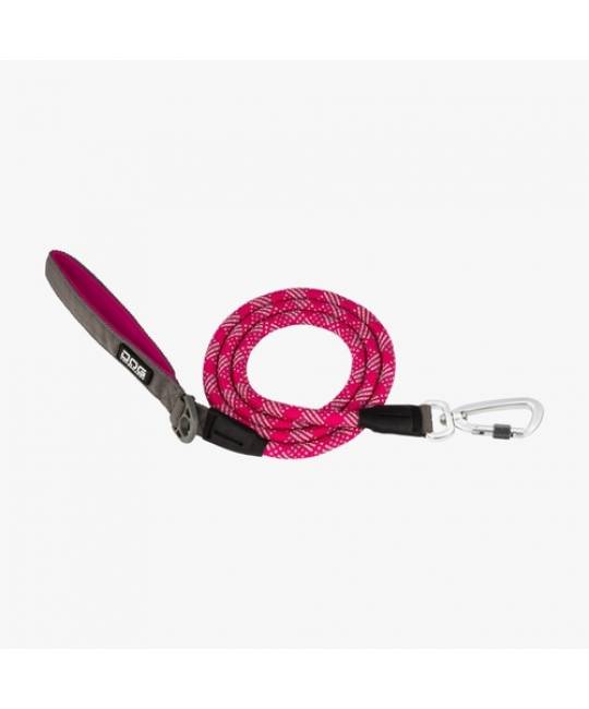 Leashes