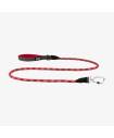 Leashes