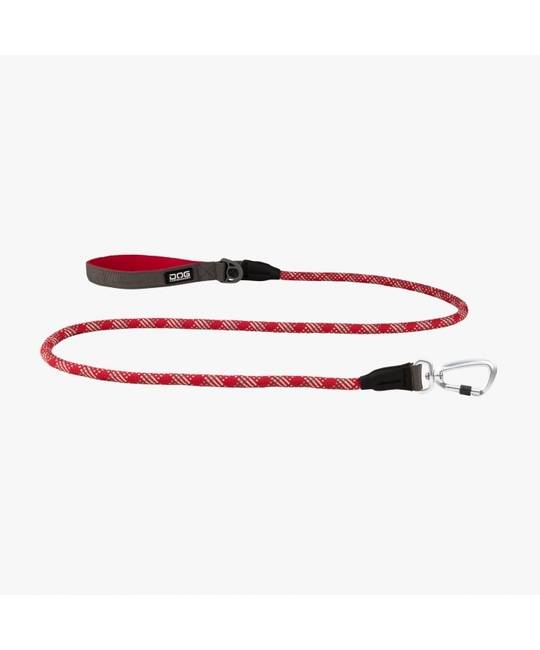 Leashes