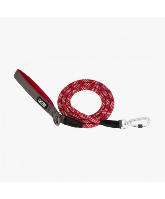 Leashes