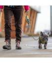Leashes