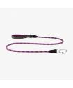 Leashes