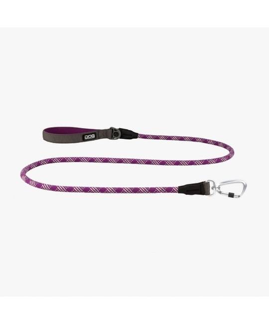 Leashes