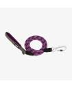 Leashes