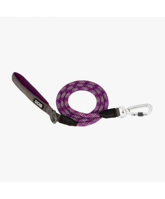 Leashes