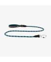 Leashes