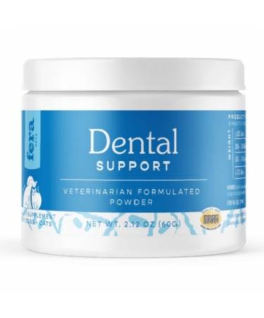 Dental Support