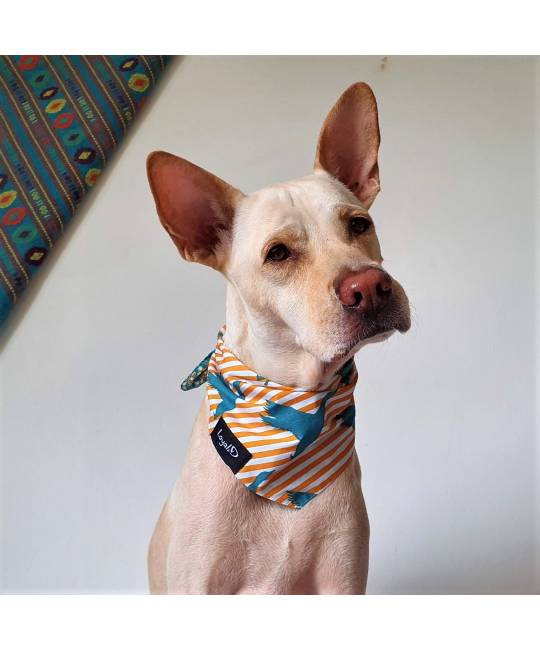 Bandanas