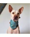 Bandanas