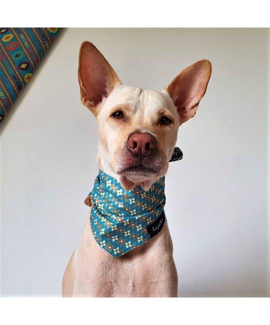 Bandanas