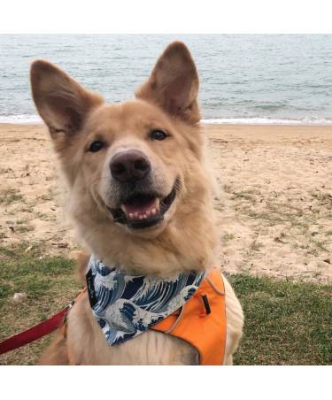 Bandana - Surf & Fern Reversible