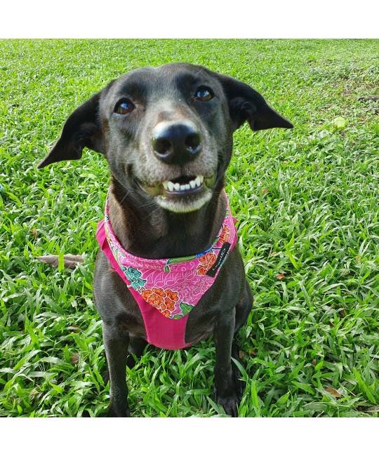 Bandanas