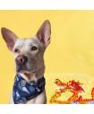 Bandanas
