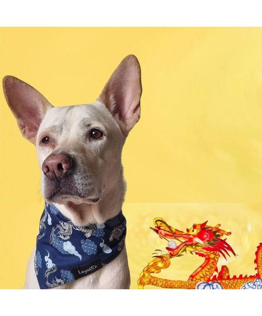 Bandanas