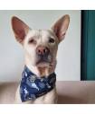 Bandanas