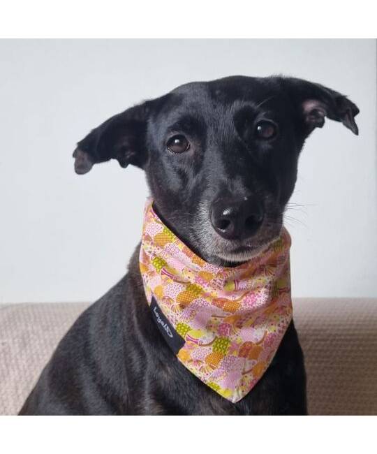 Bandanas