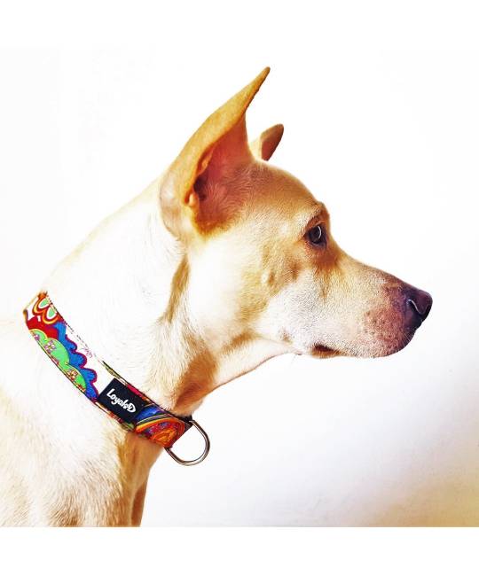 Collars
