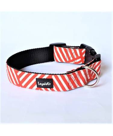 Canvas.D Collar - Stripe.D