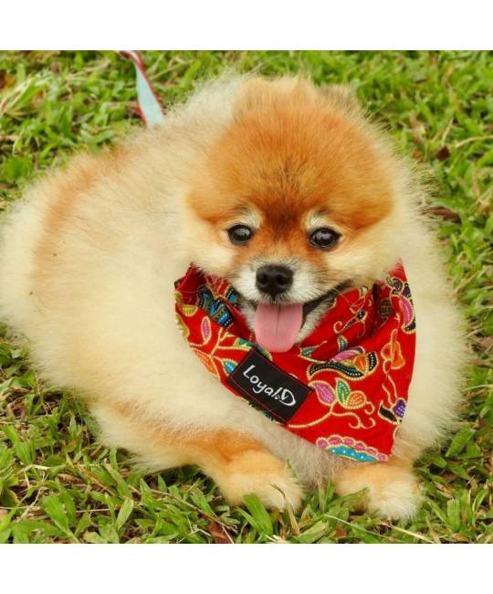 Bandanas