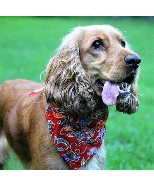Bandanas