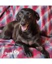 Beds & Blankies