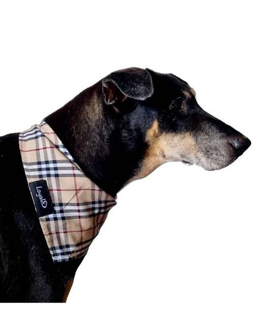Bandanas