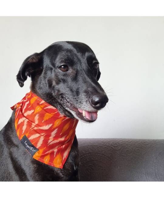 Bandanas