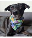 Bandanas