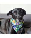 Bandanas