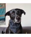 Bandanas