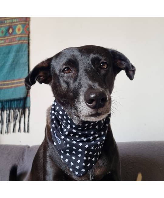 Bandanas
