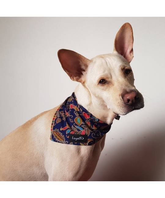 Bandanas