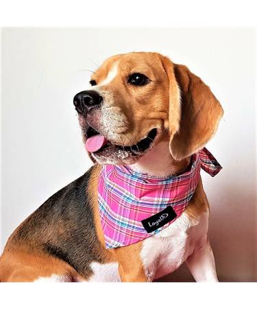 Bandana - Plai.D in Pink