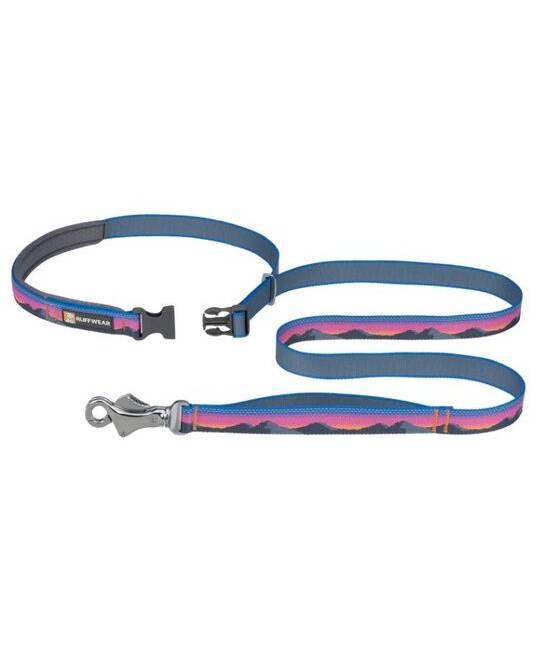 Leashes