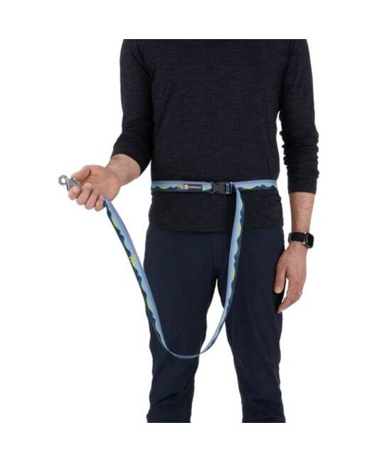 Leashes
