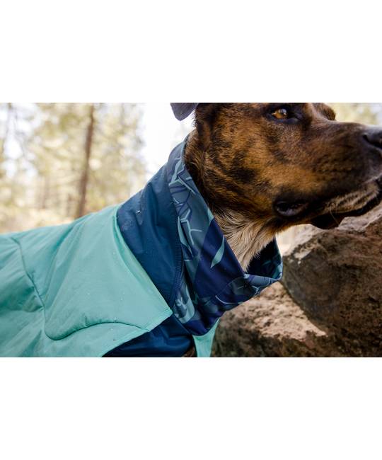 Life Jacket & Dog Apparel