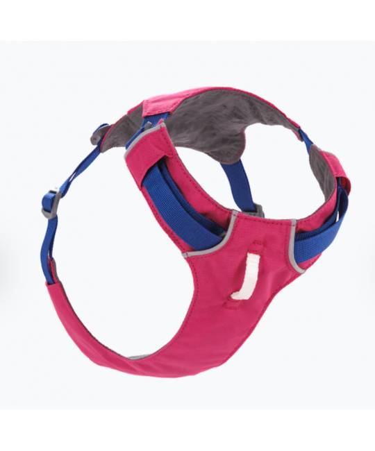 Harnesses