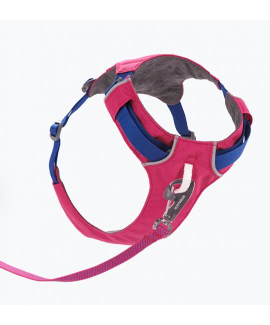 Harnesses