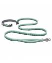 Leashes