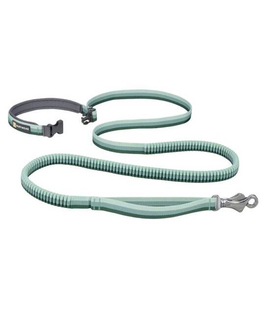 Leashes
