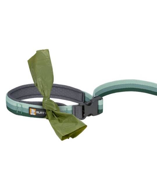 Leashes
