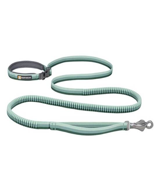 Leashes
