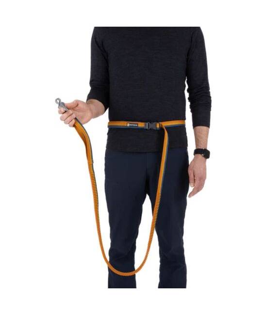 Leashes
