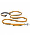 Leashes